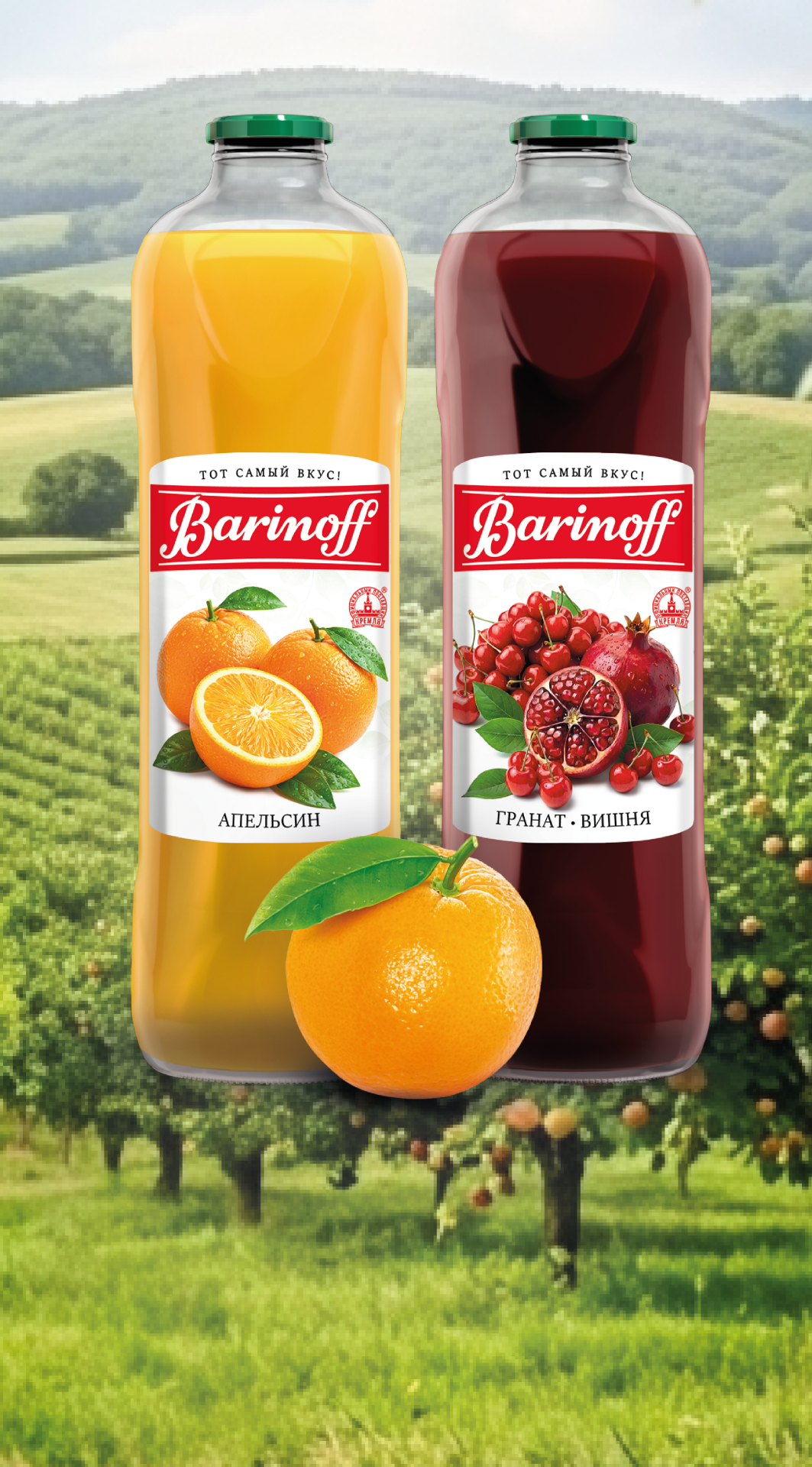 СОКИ И НЕКТАРЫ BARINOFF 1Л